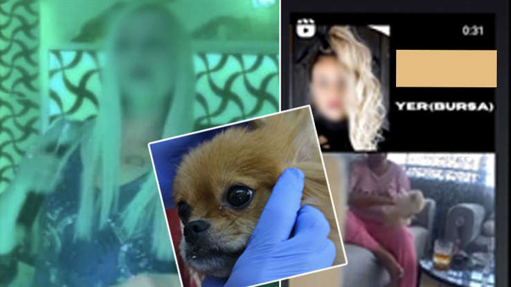 Eve kamera yerleştiren adam gördükleri karşısında şok oldu