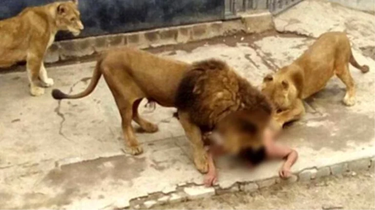 Kim Olduğu Ortaya Çıktı.!